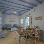 Mimosa Retreat Mykonos Appartamento
